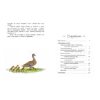 Алёнушкины сказки, производитель ЭНАС-КНИГА , ISBN 978-5-00198-253-1, № 7