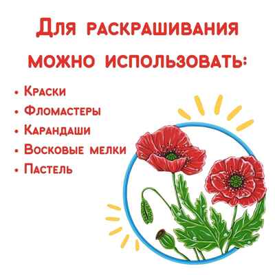 Игрушки для детского творчества Композиция &quot;Полевые  цветы&quot;; арт.Dr-1016, производитель BUMBARAM (БУМБАРАМ), ISBN 462-0-03915-863-1№ 5