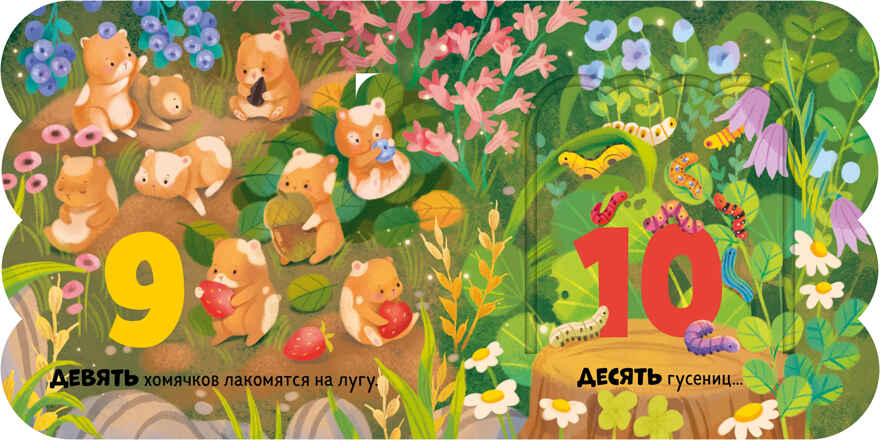 Книжка с окошками. Первый счёт, производитель Клевер (Clever) , ISBN 978-5-00252-110-4, № 6