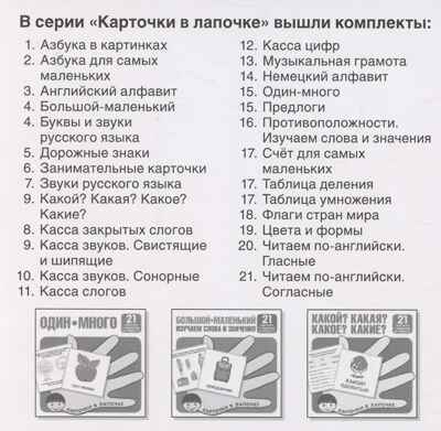 Карточки в лапочке. Какой? Какая? Какое? Какие? 21 карточка с текстом на обороте, производитель Сфера ТЦ , ISBN 978-5-99493-096-0№ 3