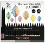 Набор цветных карандашей Blackwood 48 цветов. трехгранные,  супермягкий грифель, арт. AF03-051-48, производитель ФАРМ, ISBN 460-2-72316-946-8, № 1