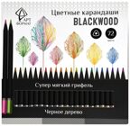 Набор цветных карандашей Blackwood 72 цвета. трехгранные, супермягкий грифель, арт. AF03-051-72, производитель ФАРМ, ISBN 460-2-72316-947-5, № 1