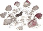 Французские опыты Науки с Буки Bondibon, Знакомься, Ти-РЕКС, арт. ВВ3173, производитель Bondibon (Бондибон), ISBN 489-5-13603-144-0, № 3