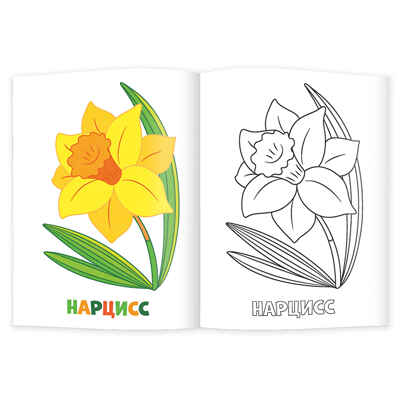 Раскраска для малышей. Цветы., производитель ГЕОДОМ , ISBN 460-7-17745-256-2№ 2