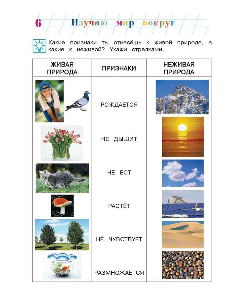 Изучаю мир вокруг: для детей 6-7 лет. Часть 1. Ломоносовская школа, производитель Эксмо , ISBN 978-5-69966-013-1, № 5