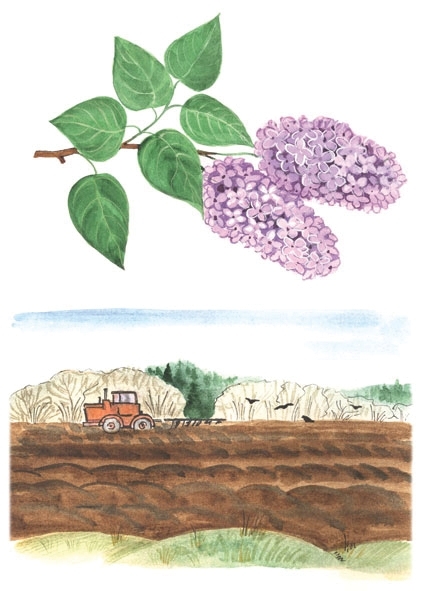Четыре сезона.Весна, производитель «Весна-Дизайн» (ИП Бурдина С. В.), ISBN 200-0-00000-330-6, № 3