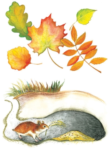 Четыре сезона.Осень, производитель «Весна-Дизайн» (ИП Бурдина С. В.), ISBN 200-0-00000-333-7, № 3