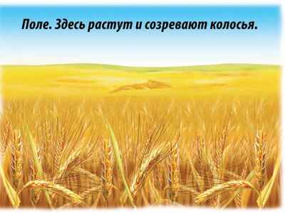 Хлеб — всему голова, производитель «Весна-Дизайн» (ИП Бурдина С. В.), ISBN 200-0-00000-325-2№ 3