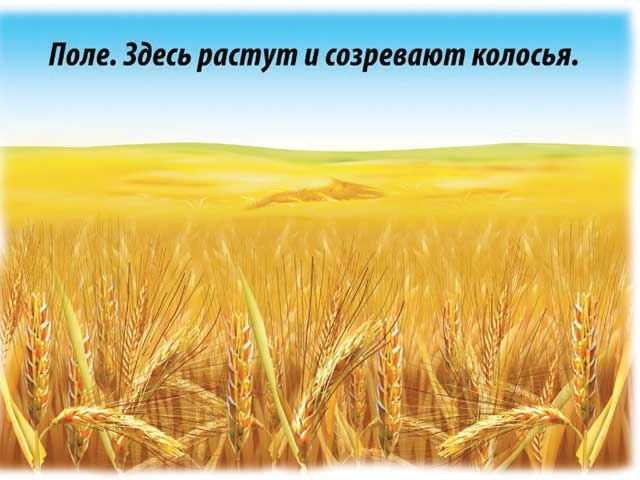 Хлеб — всему голова, производитель «Весна-Дизайн» (ИП Бурдина С. В.), ISBN 200-0-00000-325-2, № 3