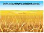 Хлеб — всему голова, производитель «Весна-Дизайн» (ИП Бурдина С. В.), ISBN 200-0-00000-325-2, № 3