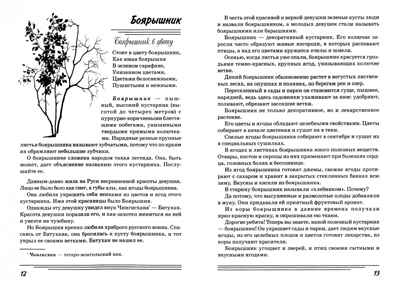 Кустарники. Какие они?, производитель Гном , ISBN 978-5-00160-702-1 № 2