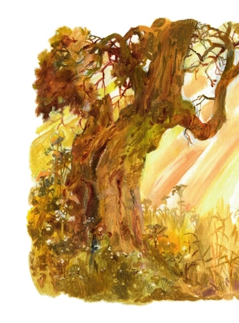 Жизнь и приключения Санта-Клауса. Илл. В. Челака, производитель АСТ , ISBN 978-5-17170-269-4№ 5