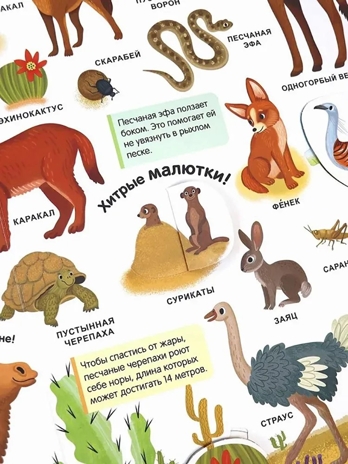 Мой первый словарь. Живая природа., производитель Malamalama (Маламалама), ISBN 978-5-00230-034-1№ 2