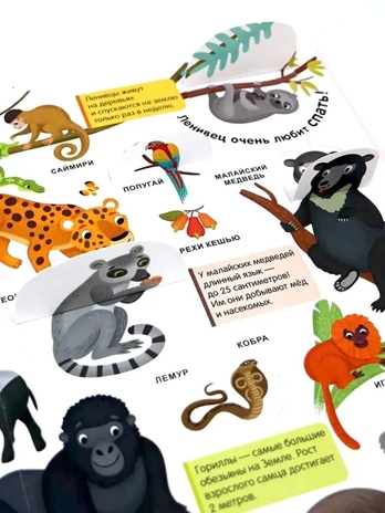 Мой первый словарь. Живая природа., производитель Malamalama (Маламалама), ISBN 978-5-00230-034-1№ 3