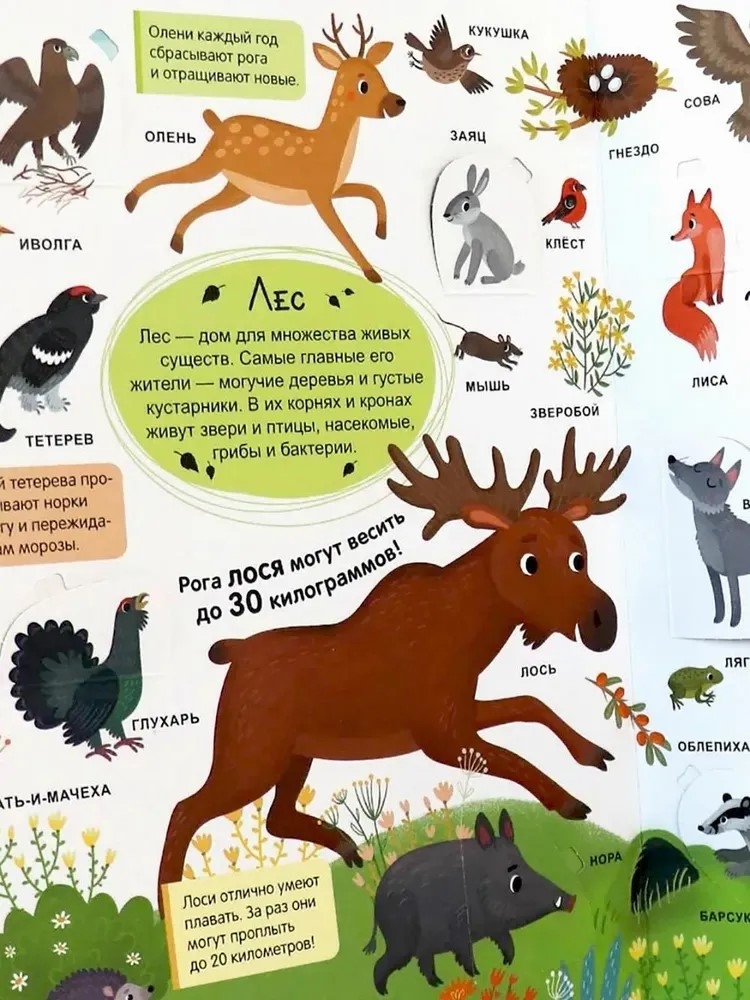 Мой первый словарь. Живая природа., производитель Malamalama (Маламалама), ISBN 978-5-00230-034-1, № 4