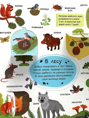 Мой первый словарь. Мир вокруг., производитель Malamalama (Маламалама), ISBN 978-5-00230-185-0№ 3