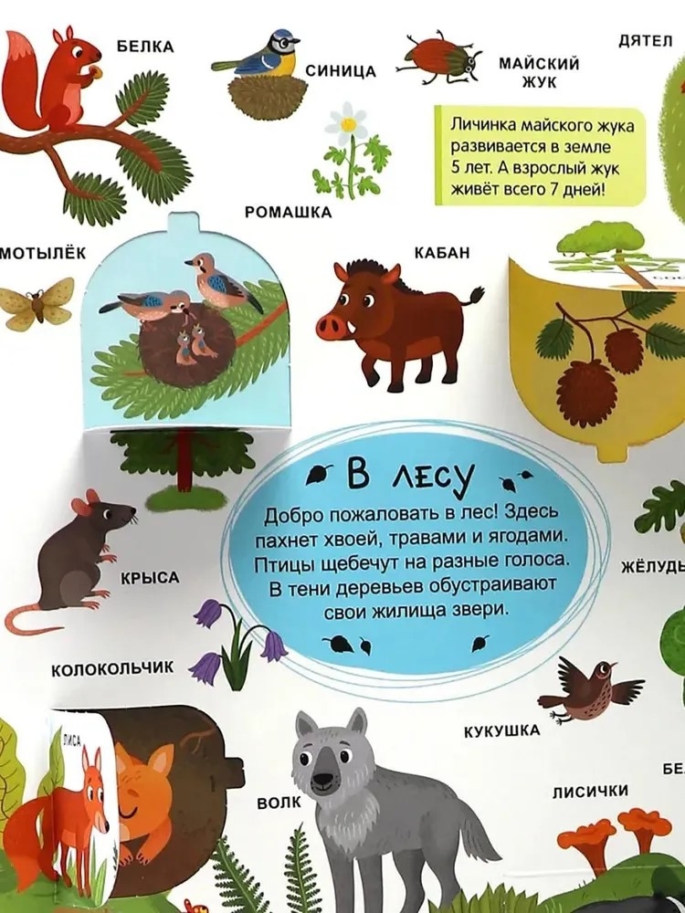 Мой первый словарь. Мир вокруг., производитель Malamalama (Маламалама), ISBN 978-5-00230-185-0, № 3