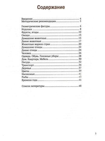 Играй и узнавай предметы. Развитие зрительно-пространственного восприятия у детей 5–6 лет: тетрадь для занятий с детьми дошкольного возраста, производитель Владос, ISBN 978-5-90748-296-8№ 2