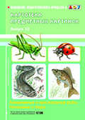 Картотека предметных картинок. Выпуск 10. Аквариумные и пресноводные рыбы. Насекомые и пауки., производитель Детство-Пресс , ISBN 978-5-89814-635-1, № 1