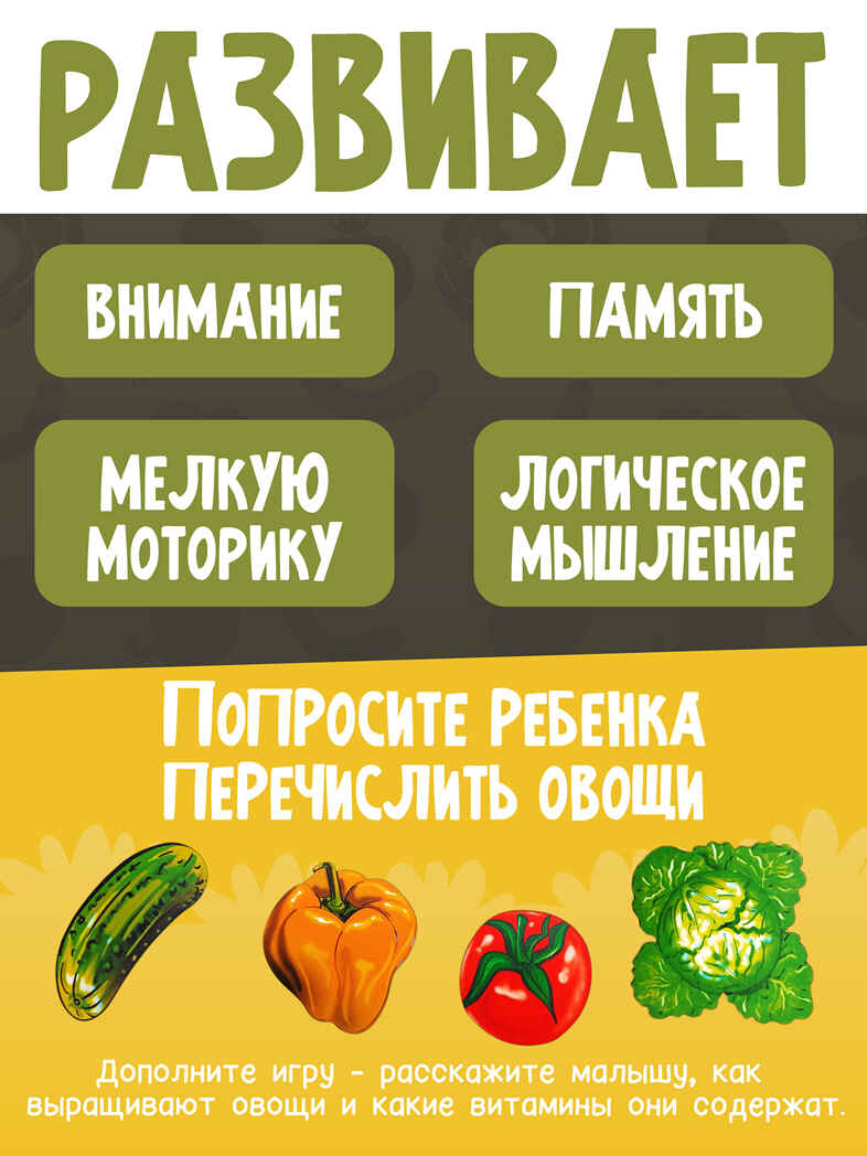 Больше-меньше Овощи, арт.7912, производитель ТД БЭМБИ, ISBN 468-3-58253-169-6, № 5