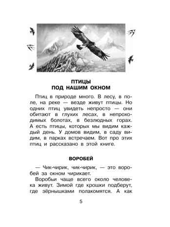 Фомка - белый медвежонок. Рассказы, производитель АСТ , ISBN 978-5-17183-065-6 № 4