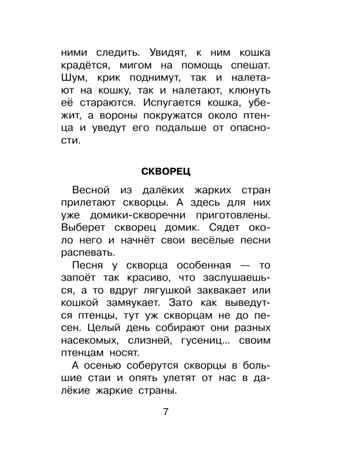 Фомка - белый медвежонок. Рассказы, производитель АСТ , ISBN 978-5-17183-065-6 № 6