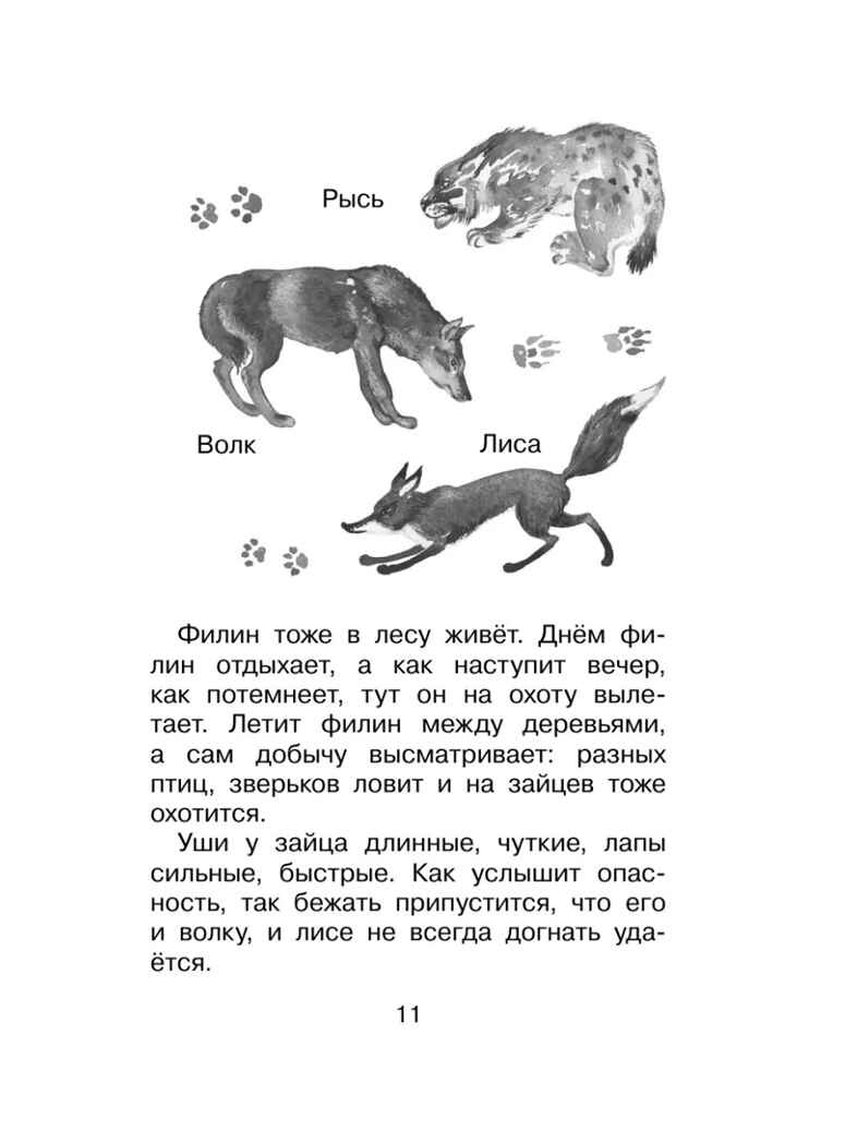 Фомка - белый медвежонок. Рассказы, производитель АСТ , ISBN 978-5-17183-065-6, № 8