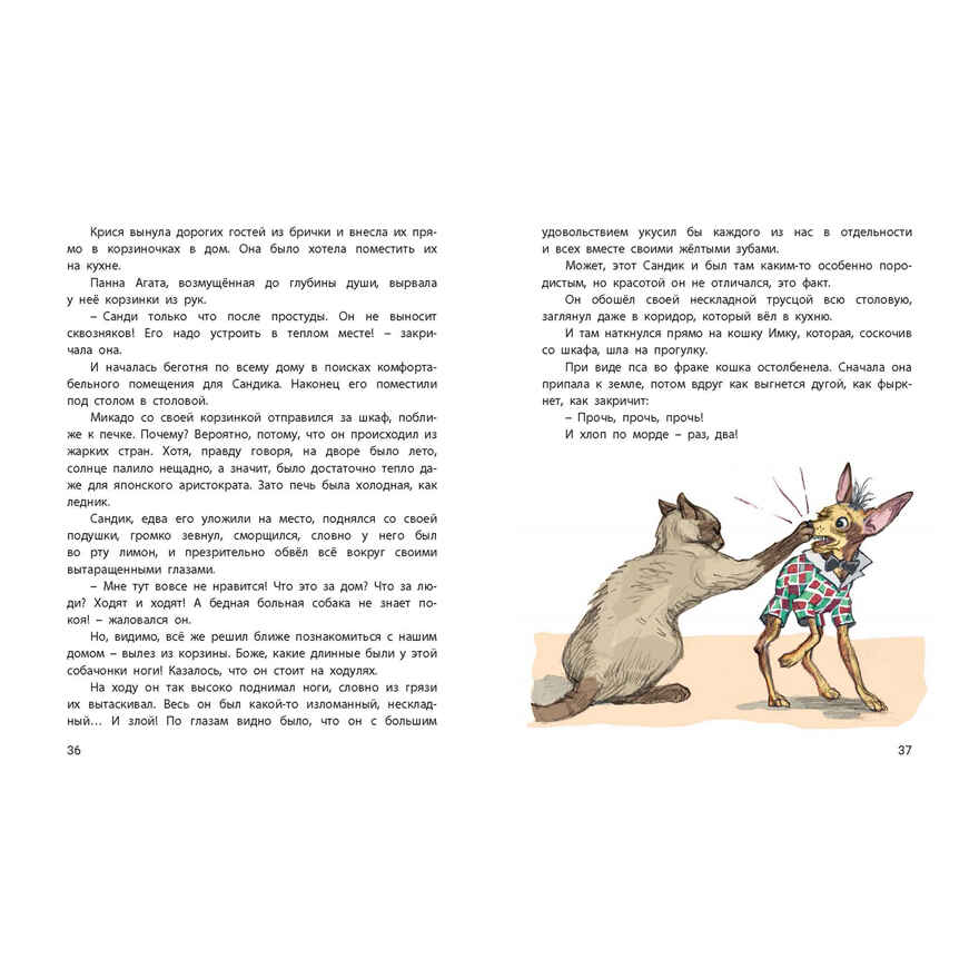 Тузик, Рыжий и гости, производитель ЭНАС-КНИГА , ISBN 978-5-00198-603-4, № 4