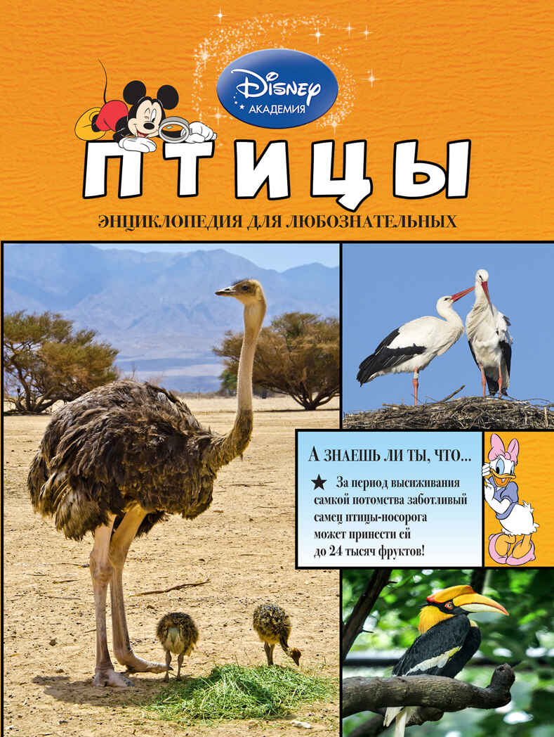 Птицы. (Серия: Disney. Энциклопедия для любознательных), арт.9785699772162, производитель Эксмо , ISBN 978-5-69977-216-2, № 1
