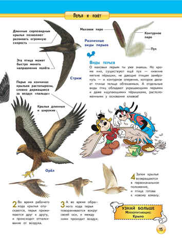 Птицы. (Серия: Disney. Энциклопедия для любознательных), арт.9785699772162, производитель Эксмо , ISBN 978-5-69977-216-2№ 2