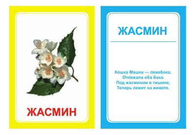 Логопедические карточки Логопедка Ж, производитель Вундеркинд с пелёнок, ISBN 461-2-73163-080-5№ 1