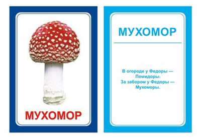 Логопедические карточки Логопедка Р, производитель Вундеркинд с пелёнок, ISBN 461-2-73163-082-9, № 1