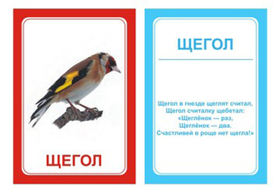 Логопедические карточки Логопедка Щ плюс Х, производитель Вундеркинд с пелёнок, ISBN 461-2-73163-087-4, № 1