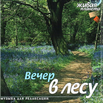 CD. Вечер в лесу, производитель Би Смарт , ISBN 460-7-05837-097-8, № 1