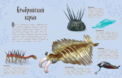 Динозавры и другие доисторические животные. Энциклопедия, производитель Эксмо , ISBN 978-5-04164-538-0№ 4