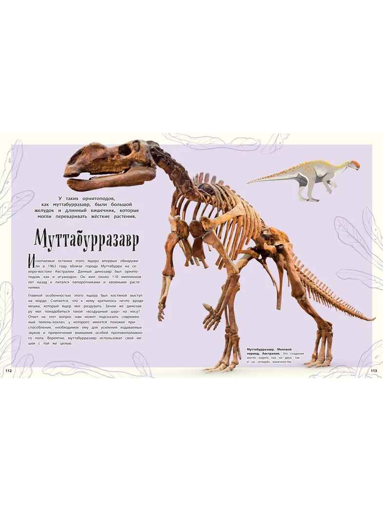 Динозавры и другие доисторические животные. Энциклопедия, производитель Эксмо , ISBN 978-5-04164-538-0, № 7