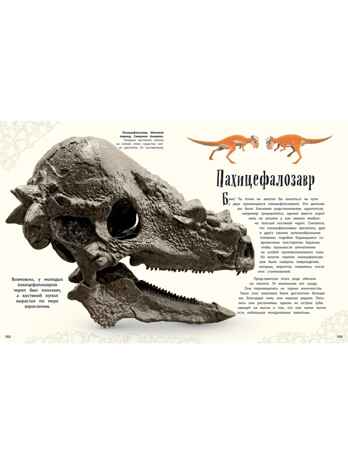 Динозавры и другие доисторические животные. Энциклопедия, производитель Эксмо , ISBN 978-5-04164-538-0№ 8