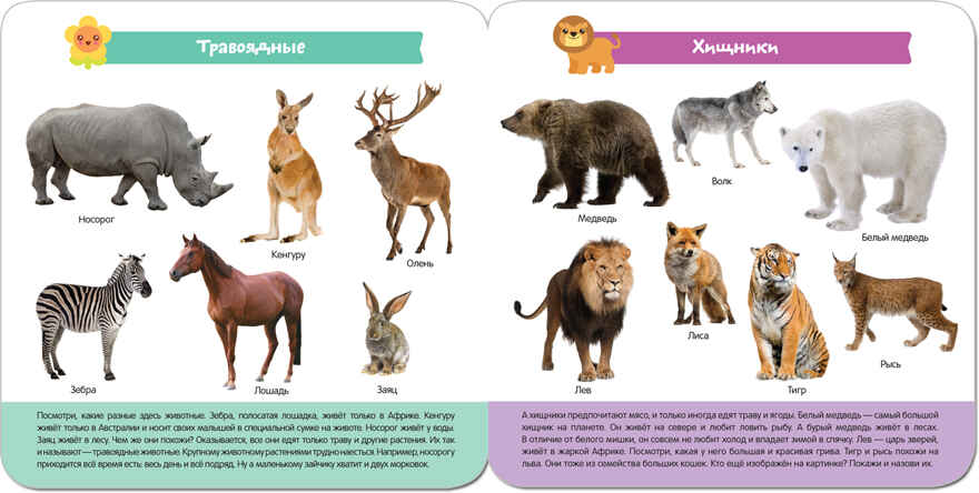  Мир животных, производитель МОЗАИКА kids , ISBN 978-5-43151-430-2, № 3
