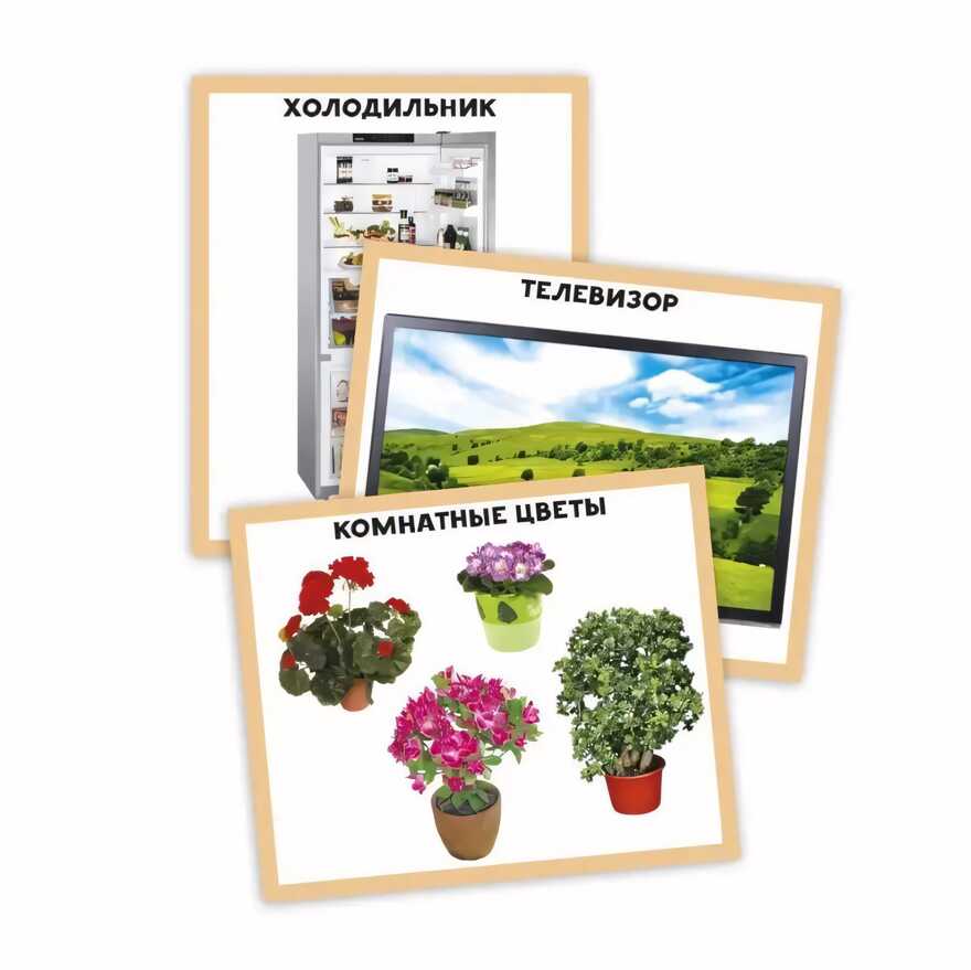Разумные карточки. Мой дом., производитель Проф-Пресс , ISBN 978-5-37829-120-5, № 2