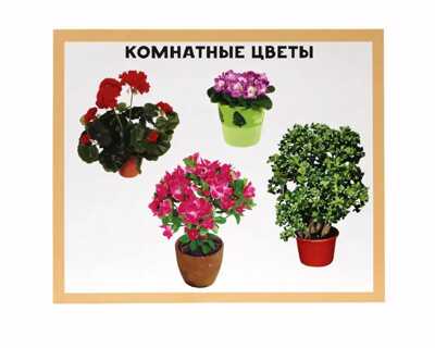 Разумные карточки. Мой дом., производитель Проф-Пресс , ISBN 978-5-37829-120-5№ 4