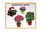 Разумные карточки. Мой дом., производитель Проф-Пресс , ISBN 978-5-37829-120-5, № 4