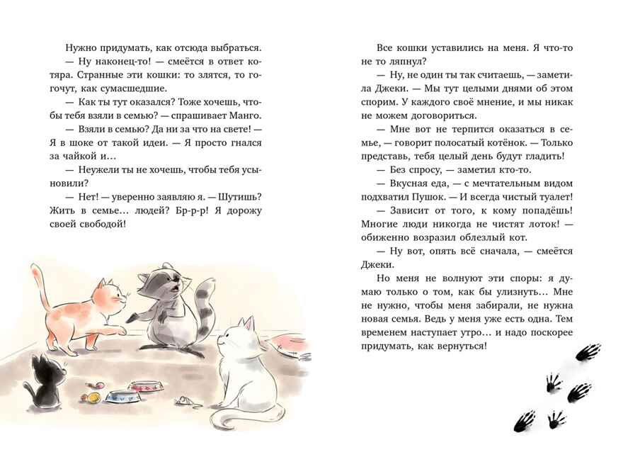 Маффин. Мой друг енот, производитель Махаон , ISBN 978-5-38929-423-3, № 5