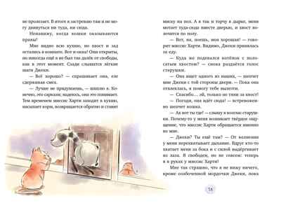 Маффин. Мой друг енот, производитель Махаон , ISBN 978-5-38929-423-3№ 6
