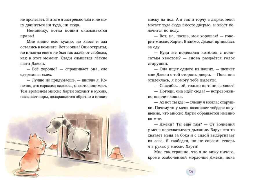 Маффин. Мой друг енот, производитель Махаон , ISBN 978-5-38929-423-3, № 6