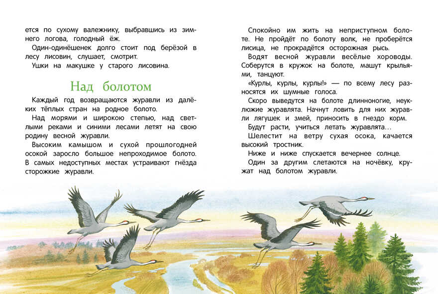 Рассказы о природе. Соколов-Микитов И. С., производитель Стрекоза , ISBN 978-5-99514-652-0, № 2