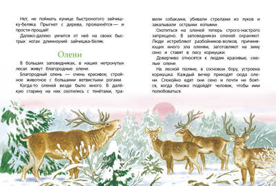 Рассказы о природе. Соколов-Микитов И. С., производитель Стрекоза , ISBN 978-5-99514-652-0№ 4
