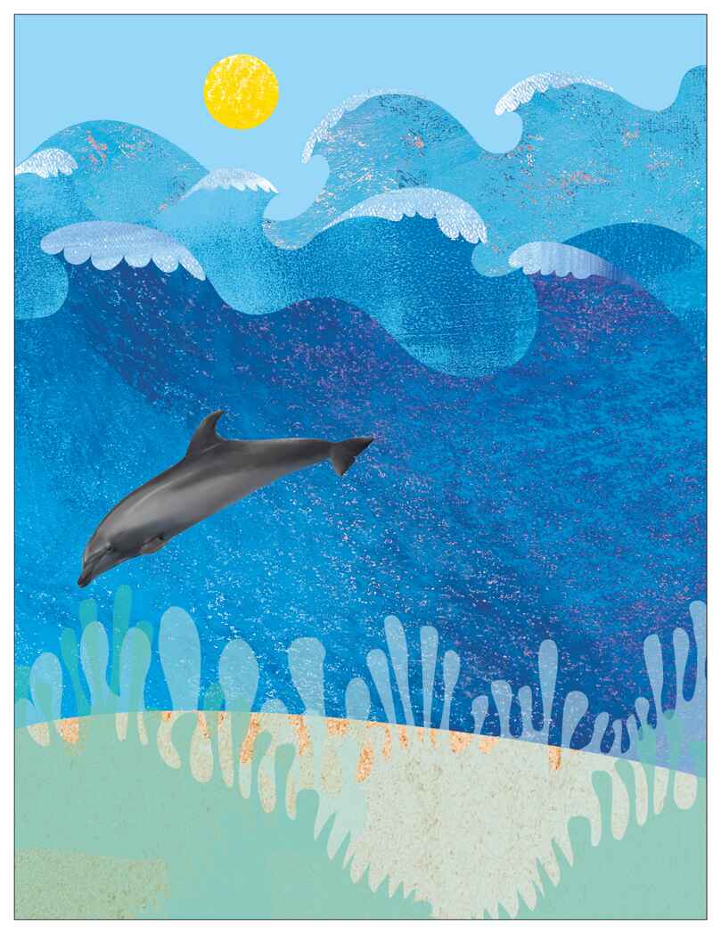 В море (Фотонаклейки), книжка с наклейками, производитель МОЗАИКА kids , ISBN 978-5-43154-565-8, № 2