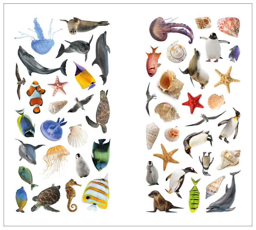 В море (Фотонаклейки), книжка с наклейками, производитель МОЗАИКА kids , ISBN 978-5-43154-565-8, № 3