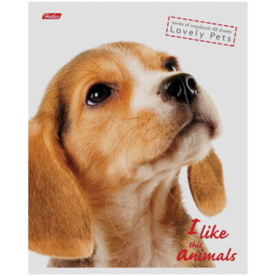 Тетрадь 48 листов (клетка), &quot;I Like Animals&quot;, производитель Hatber (Хатбер), ISBN 460-6-78211-543-5№ 1