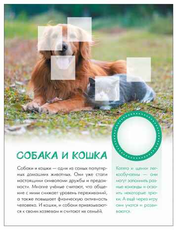 Кто живёт в деревне? (Мир животных с наклейками), книги с наклейками, производитель МОЗАИКА kids , ISBN 978-5-43154-553-5№ 5